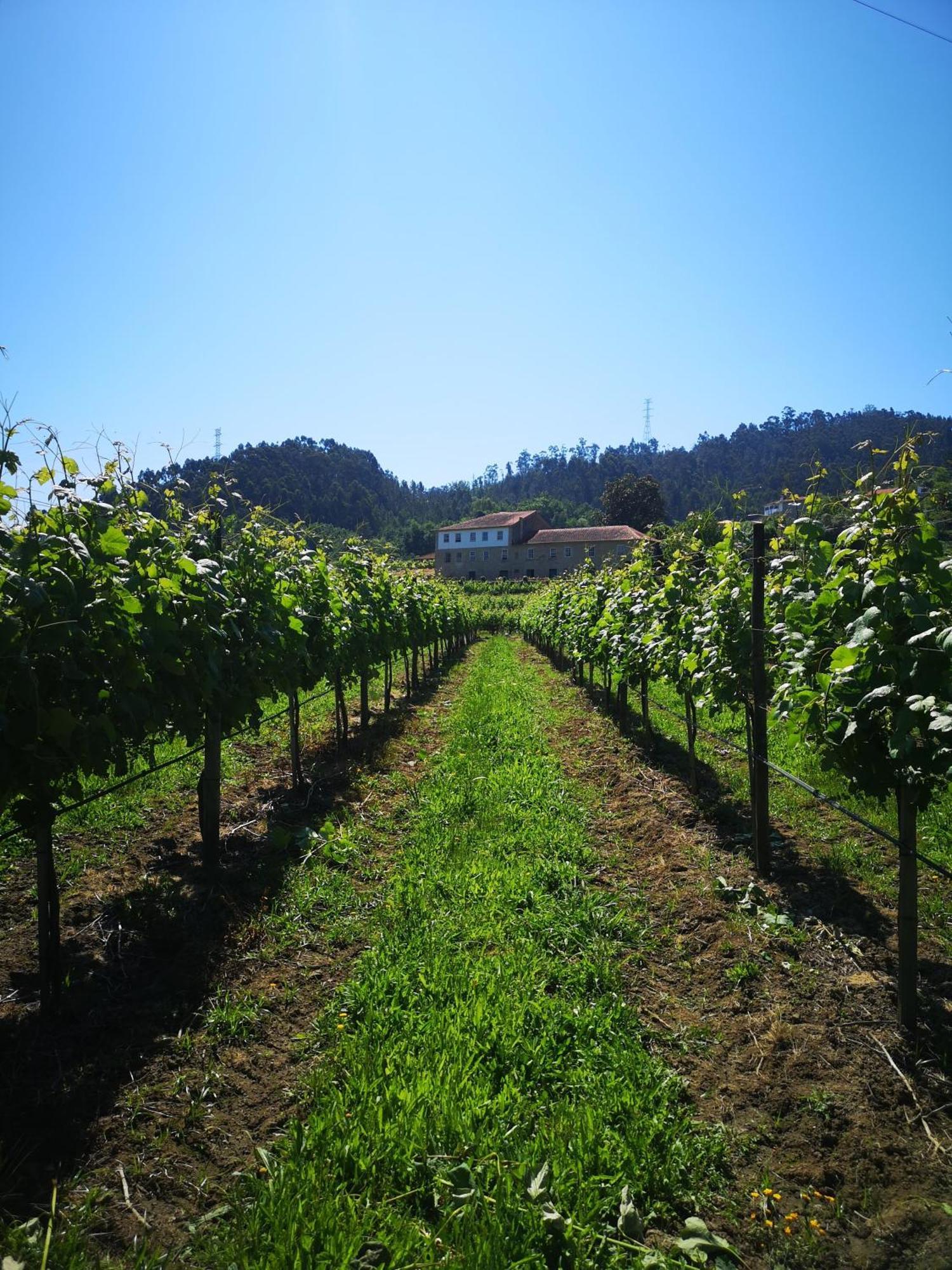 Quinta De Cypriano - Wine & Nature Ponte da Barca Exterior foto