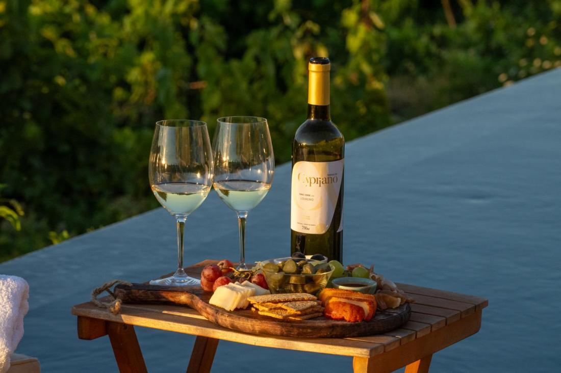 Quinta De Cypriano - Wine & Nature Ponte da Barca Exterior foto